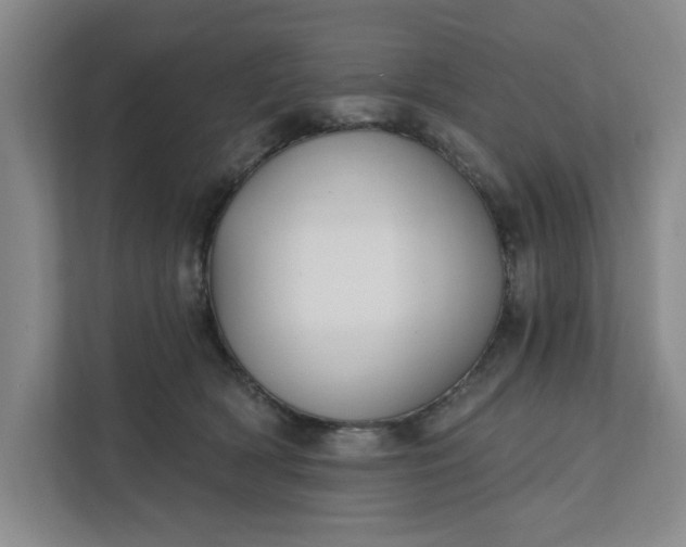 X0000112390418200908271344