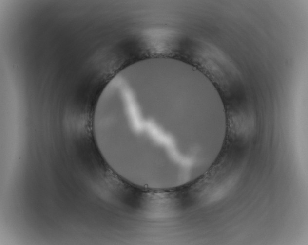 X0000112390419200908271344