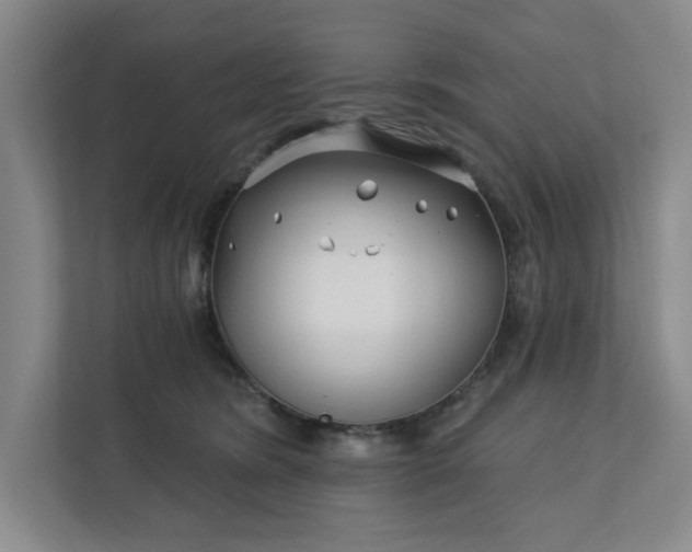 X0000112390420200908271344