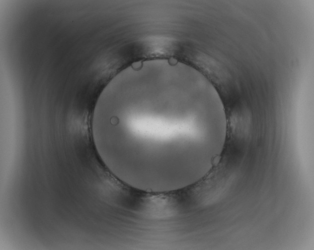 X0000112390423200908271343