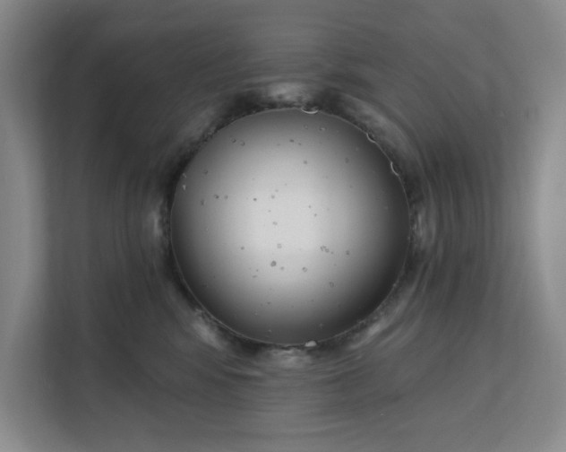 X0000112390424200908271343