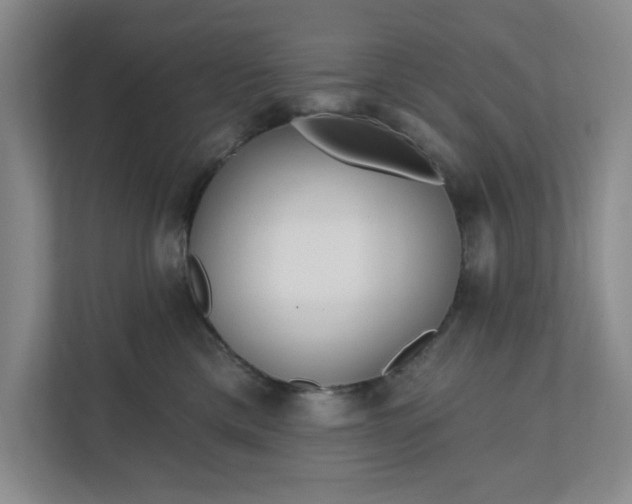 X0000112390425200908271343