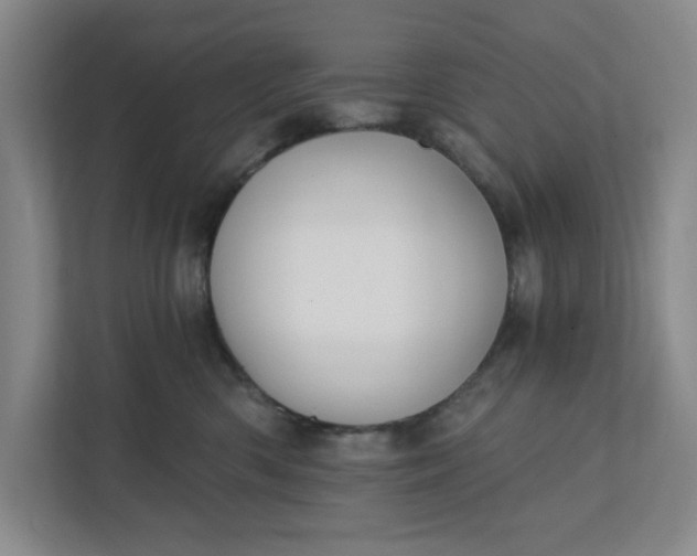 X0000112390426200908271343