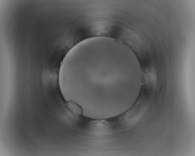 X0000112390427200908271343