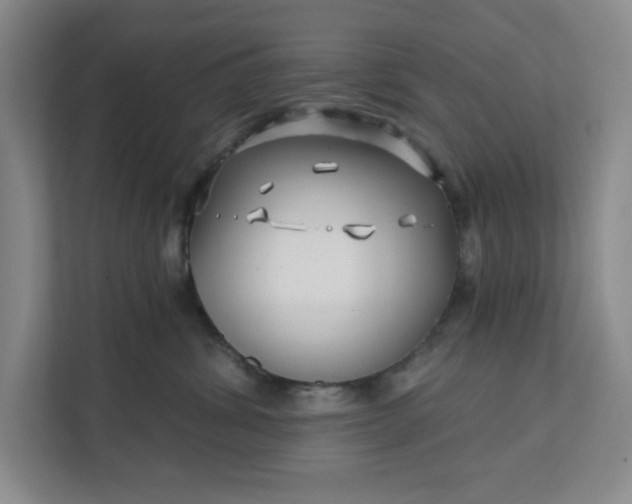 X0000112390428200908271343