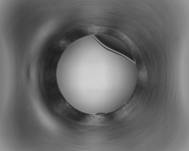 X0000112390429200908271343