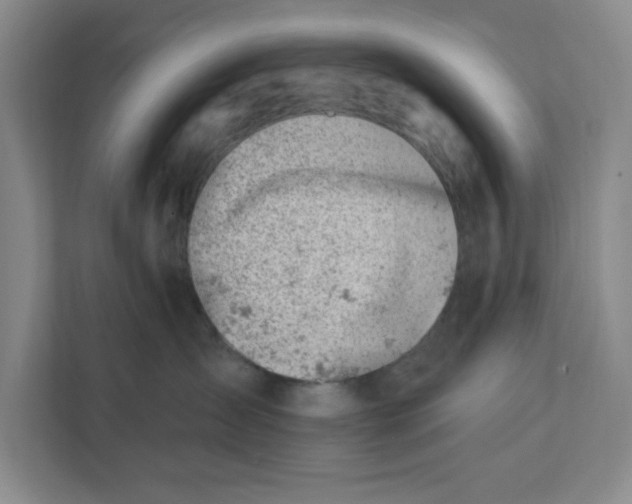 X0000112390431200908271343