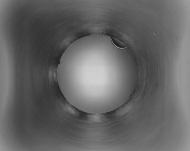 X0000112390432200908271343