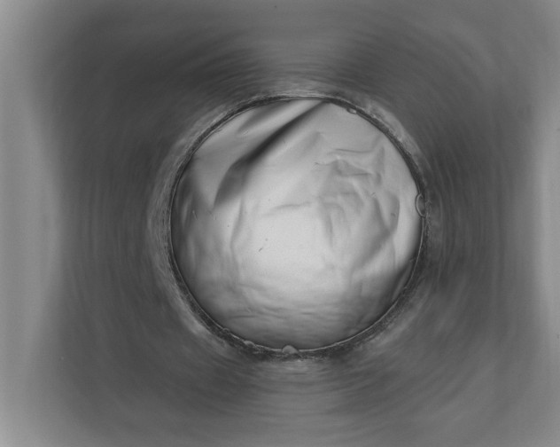 X0000112390433200908271343