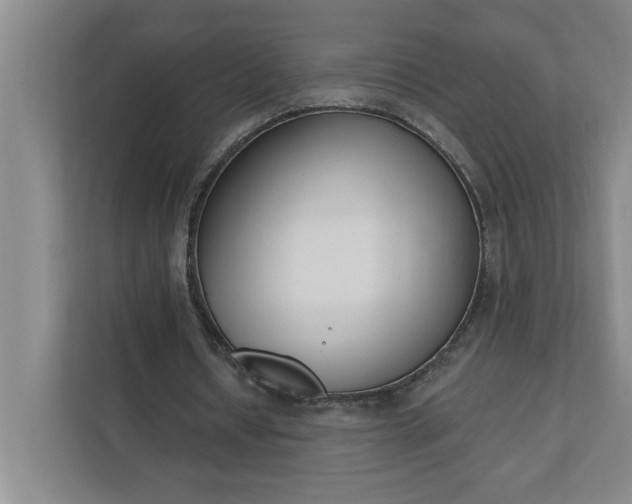 X0000112390434200908271343