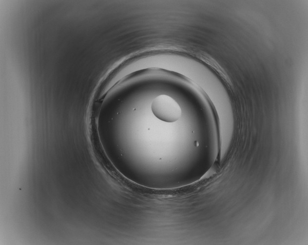 X0000112390436200908271343