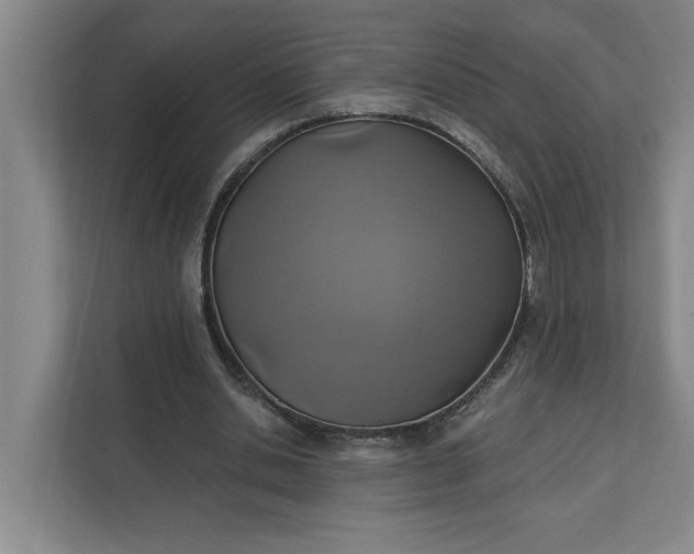 X0000112390438200908271343