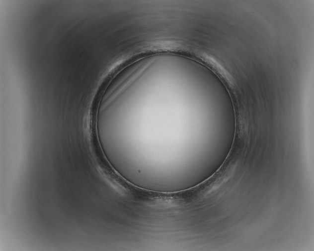 X0000112390439200908271343