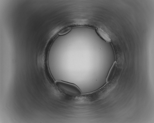 X0000112390440200908271343