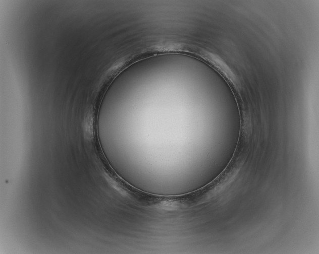 X0000112390441200908271343