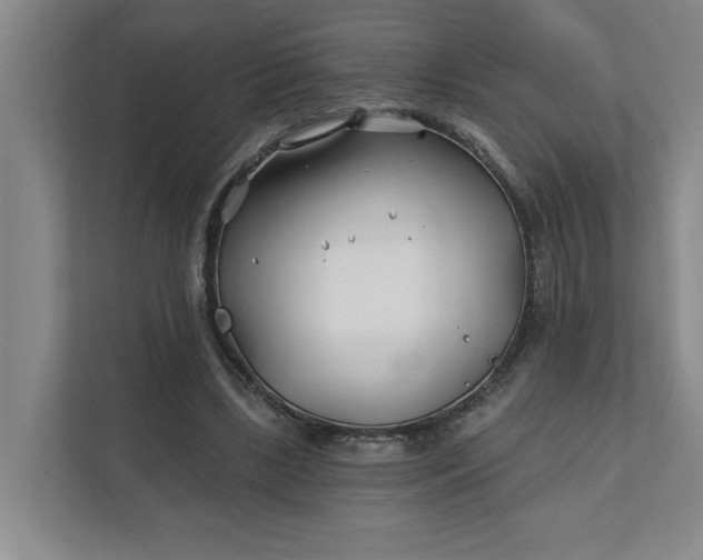 X0000112390443200908271343