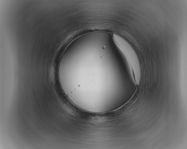 X0000112390444200908271343