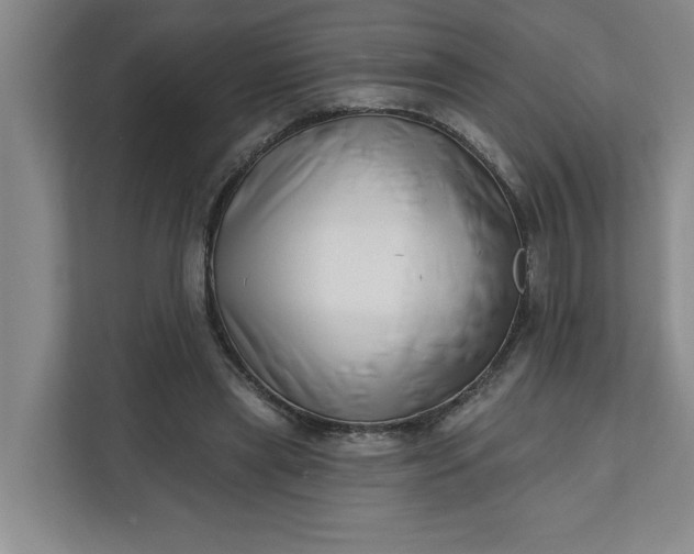 X0000112390445200908271343