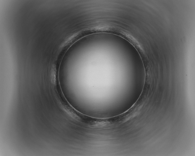 X0000112390446200908271343