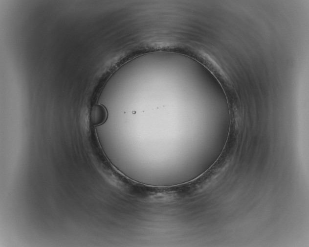 X0000112390447200908271343