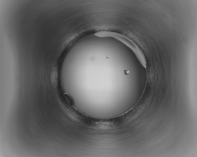 X0000112390448200908271343