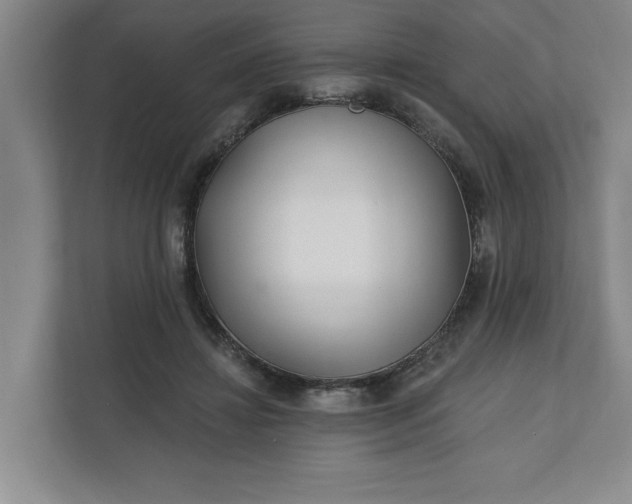 X0000112390452200908271343