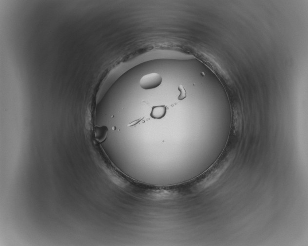 X0000112390453200908271343