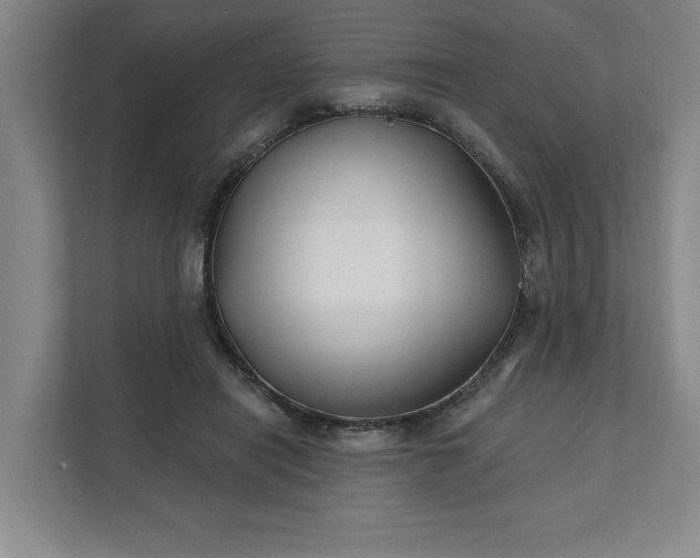 X0000112390454200908271343