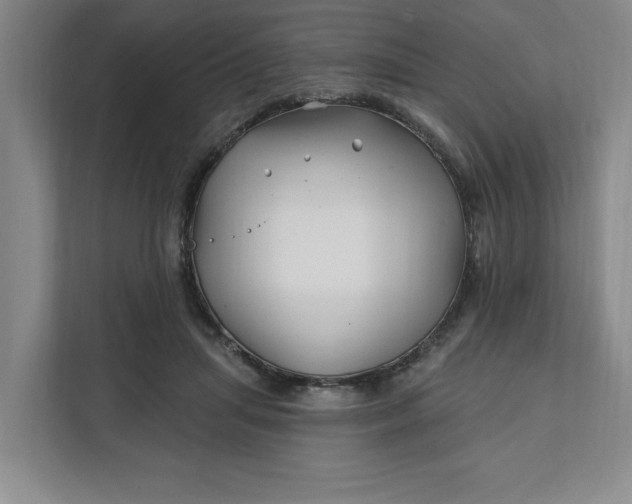 X0000112390455200908271343