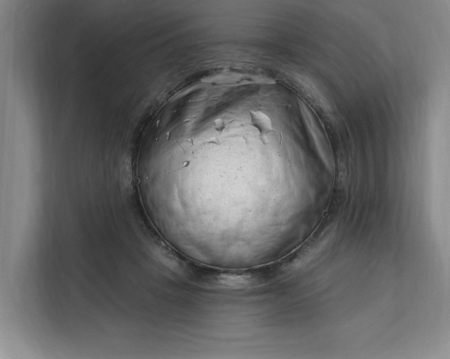 X0000112390457200908271343