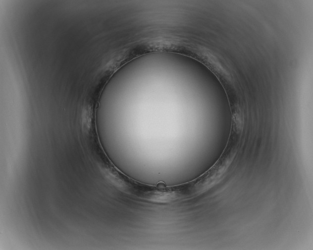 X0000112390458200908271343