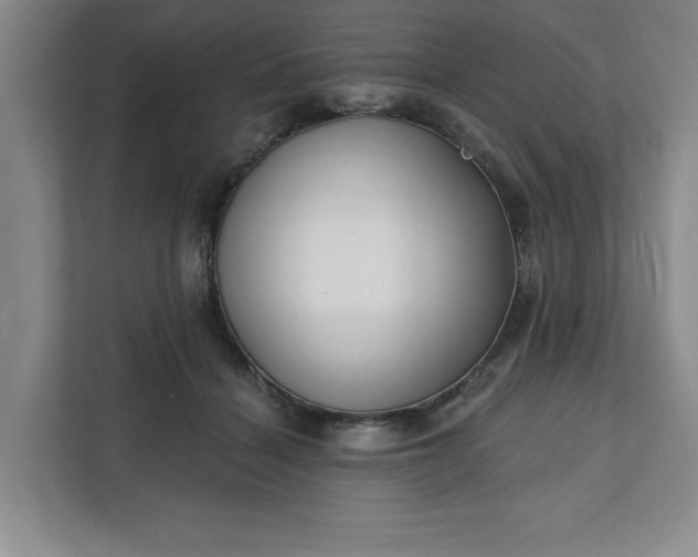 X0000112390460200908271343