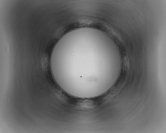 X0000112390463200908271343