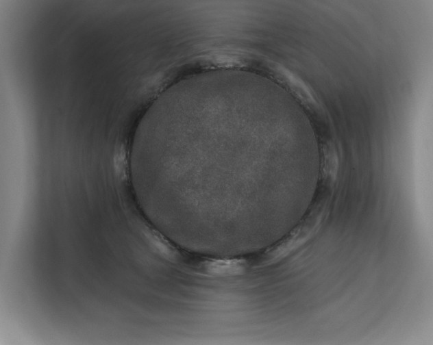 X0000112390465200908271343