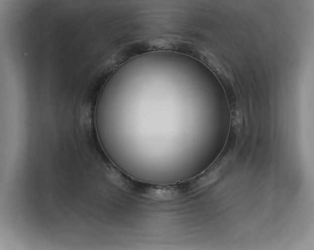 X0000112390466200908271343