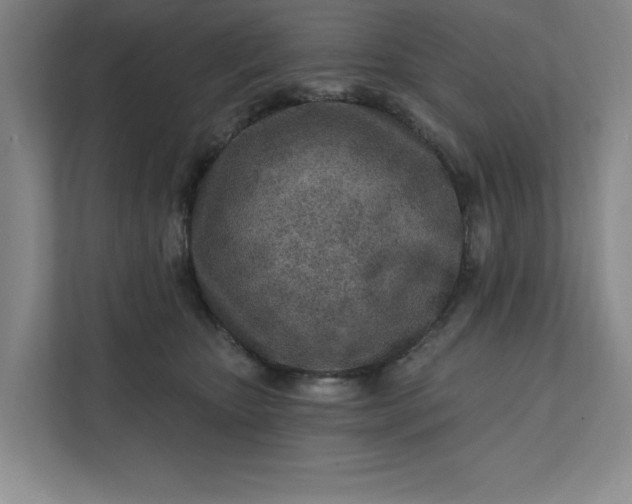 X0000112390467200908271343