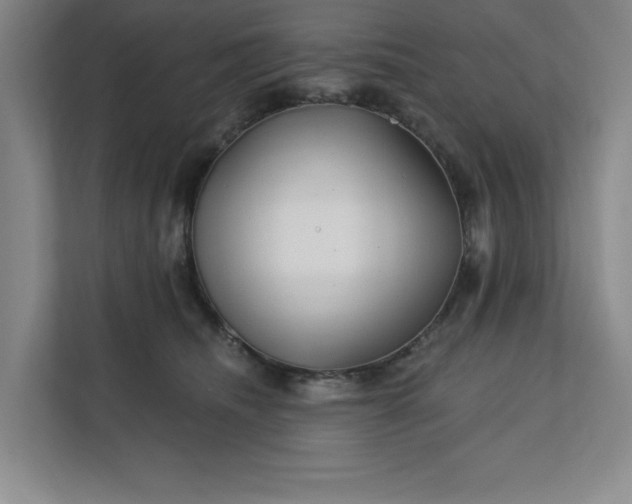 X0000112390468200908271343