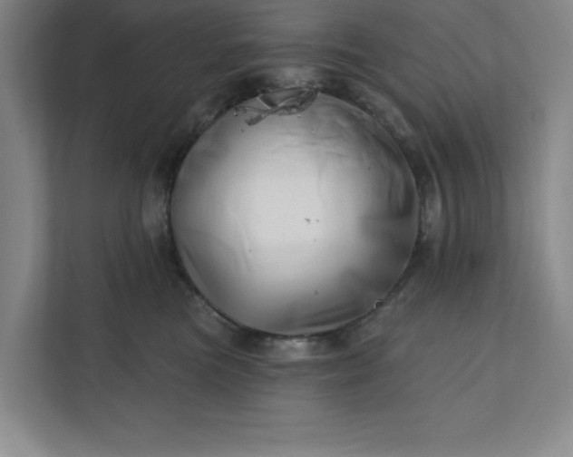 X0000112390473200908271343