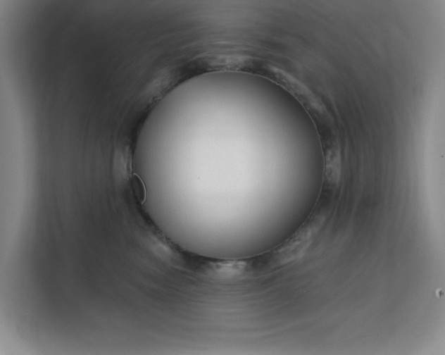 X0000112390474200908271343