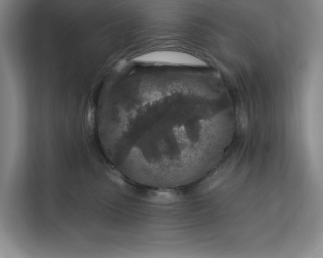 X0000112390475200908271343