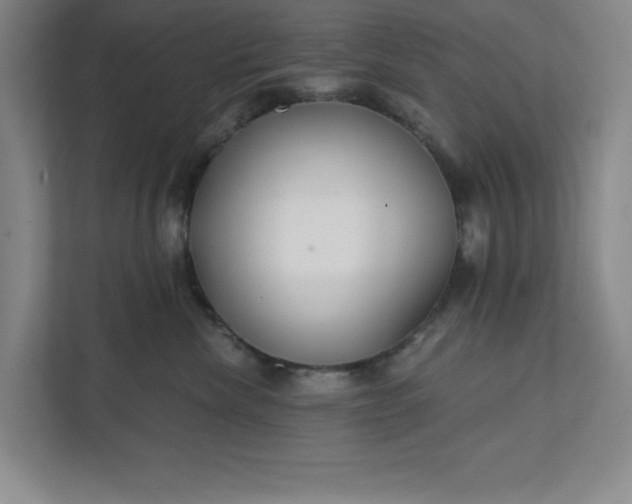 X0000112390476200908271343