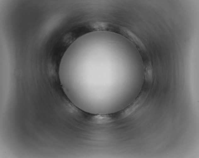 X0000112390477200908271343