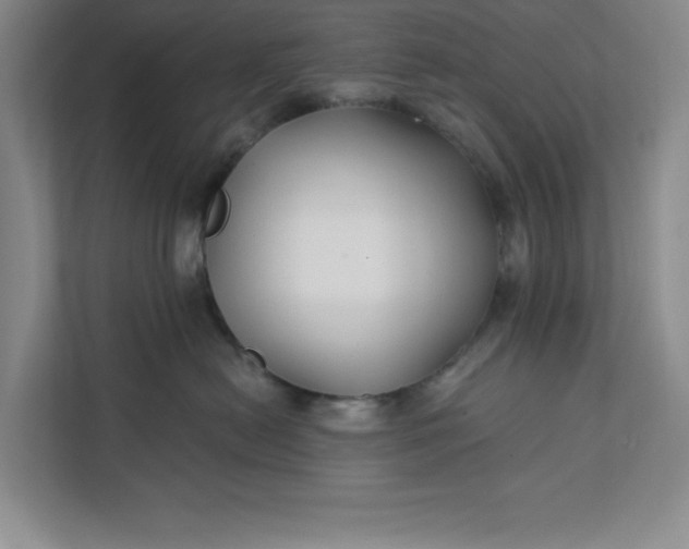 X0000112390478200908271343