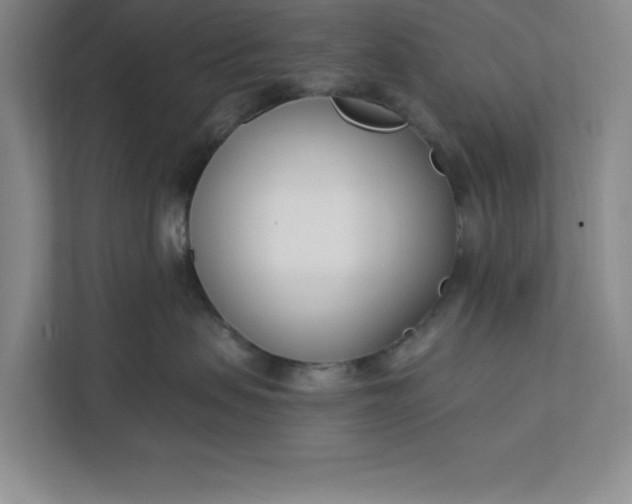 X0000112390479200908271343