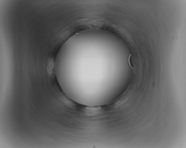 X0000112390480200908271343