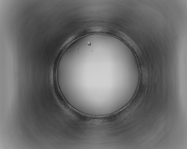 X0000112390482200908271343