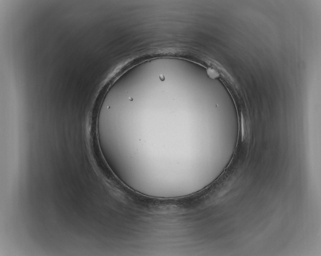 X0000112390483200908271343