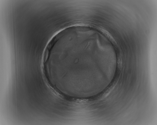 X0000112390484200908271343