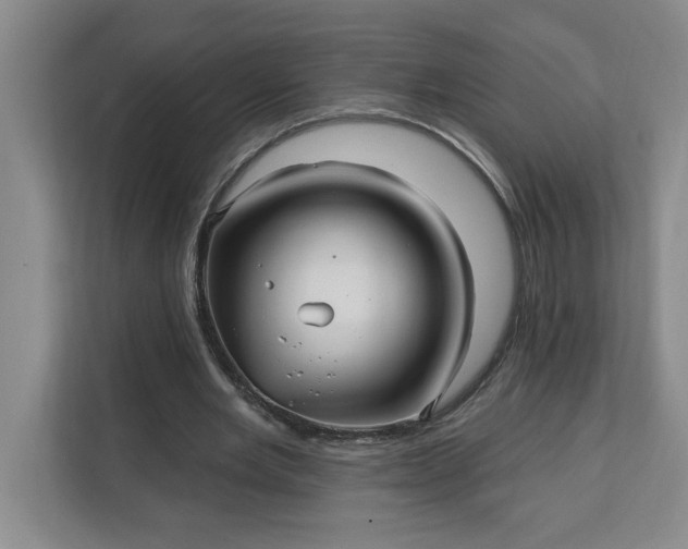 X0000112390485200908271343