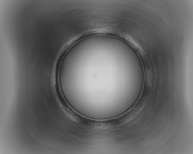 X0000112390486200908271343